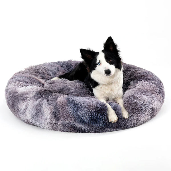 Dog resting calmly on a plush MellowPaw calming donut bed
