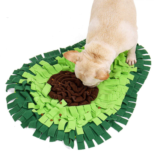 Small dog foraging in an avocado-shaped MellowPaw snuffle mat