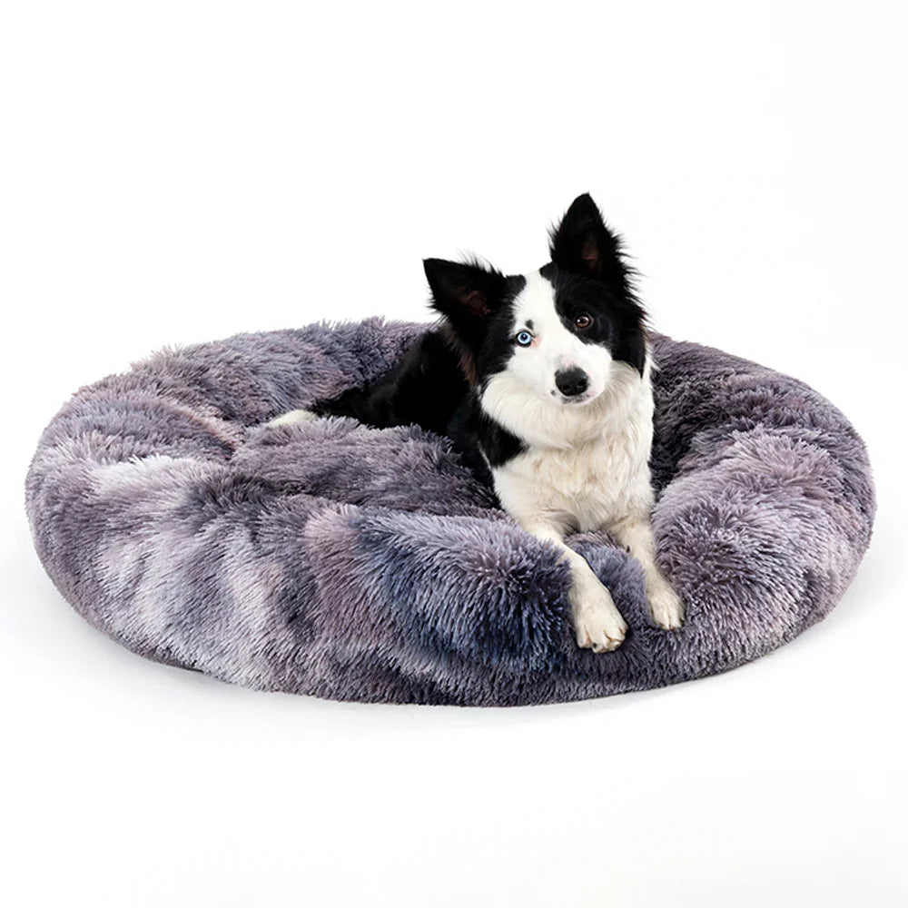 Black and white dog resting on a round, fluffy gray pet bed against a white background.