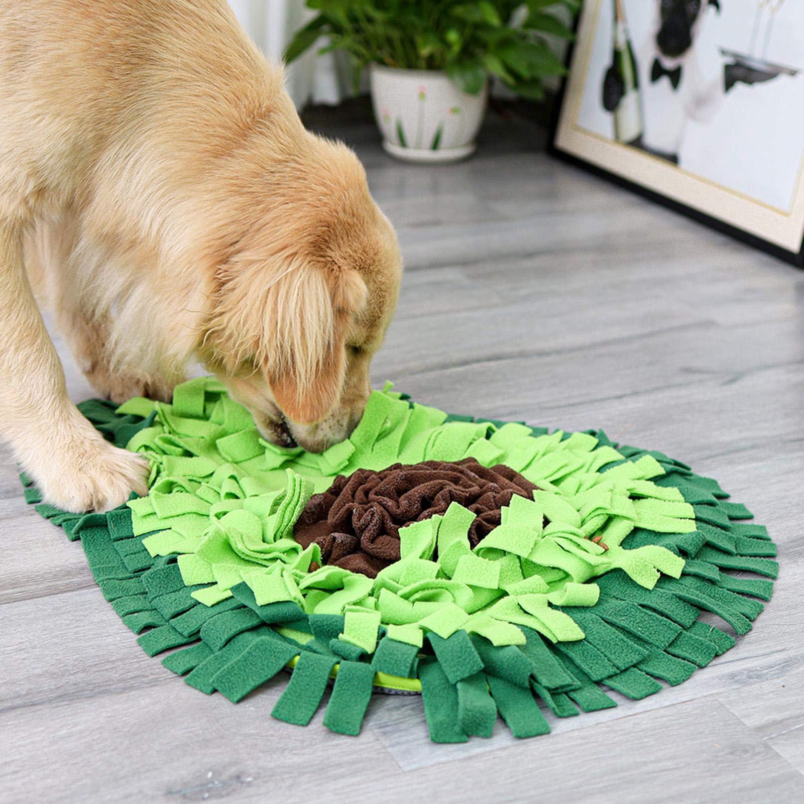 Golden retriever using green snuffle mat for dogs on wooden floor indoors