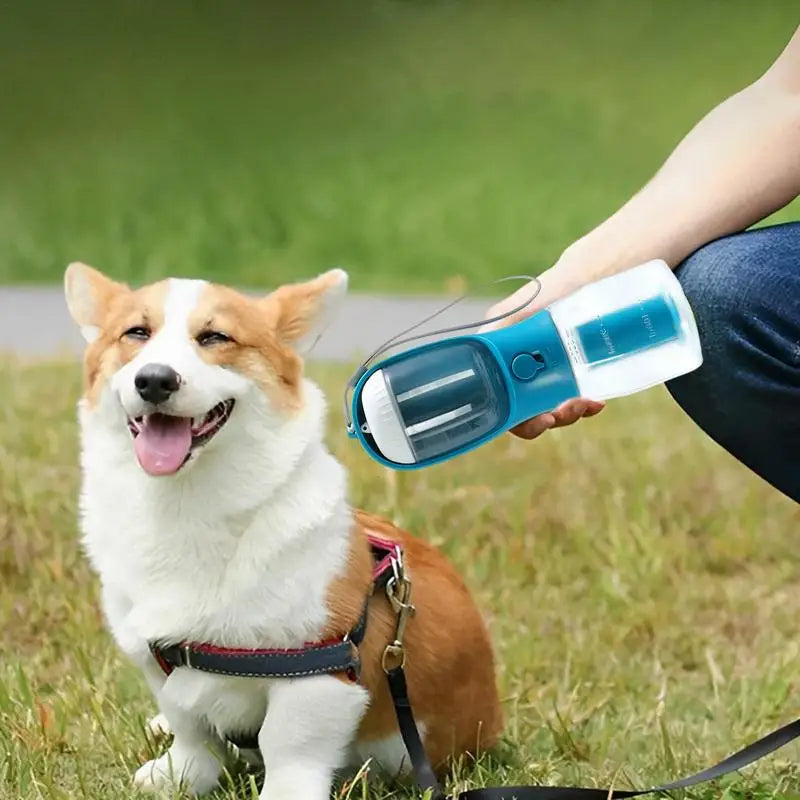 Portable Pet Cup