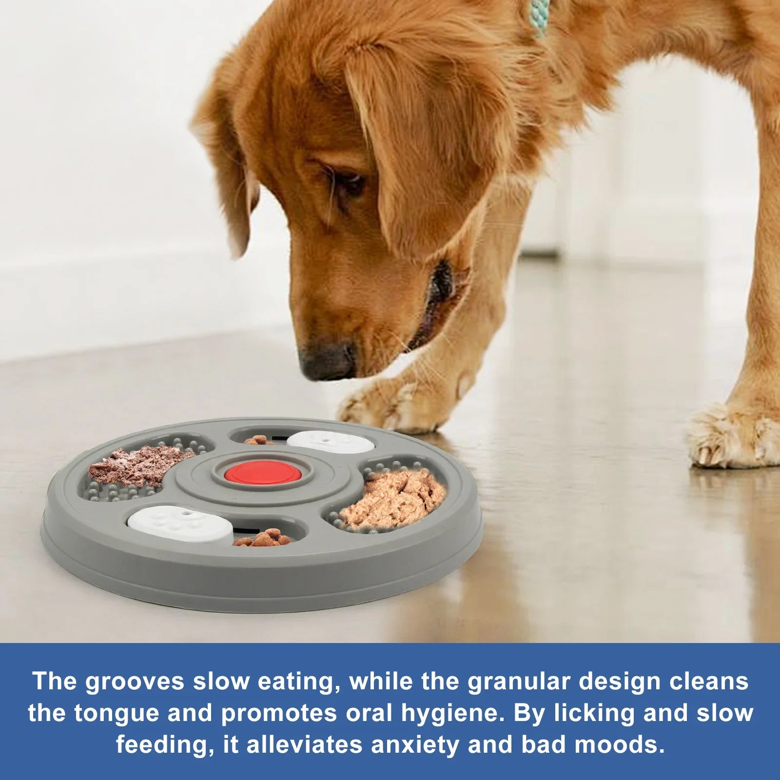 Golden retriever sniffs interactive slow feeder dog bowl with compartments indoors