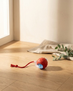 MellowPaw Auto-Rolling Chase Ball